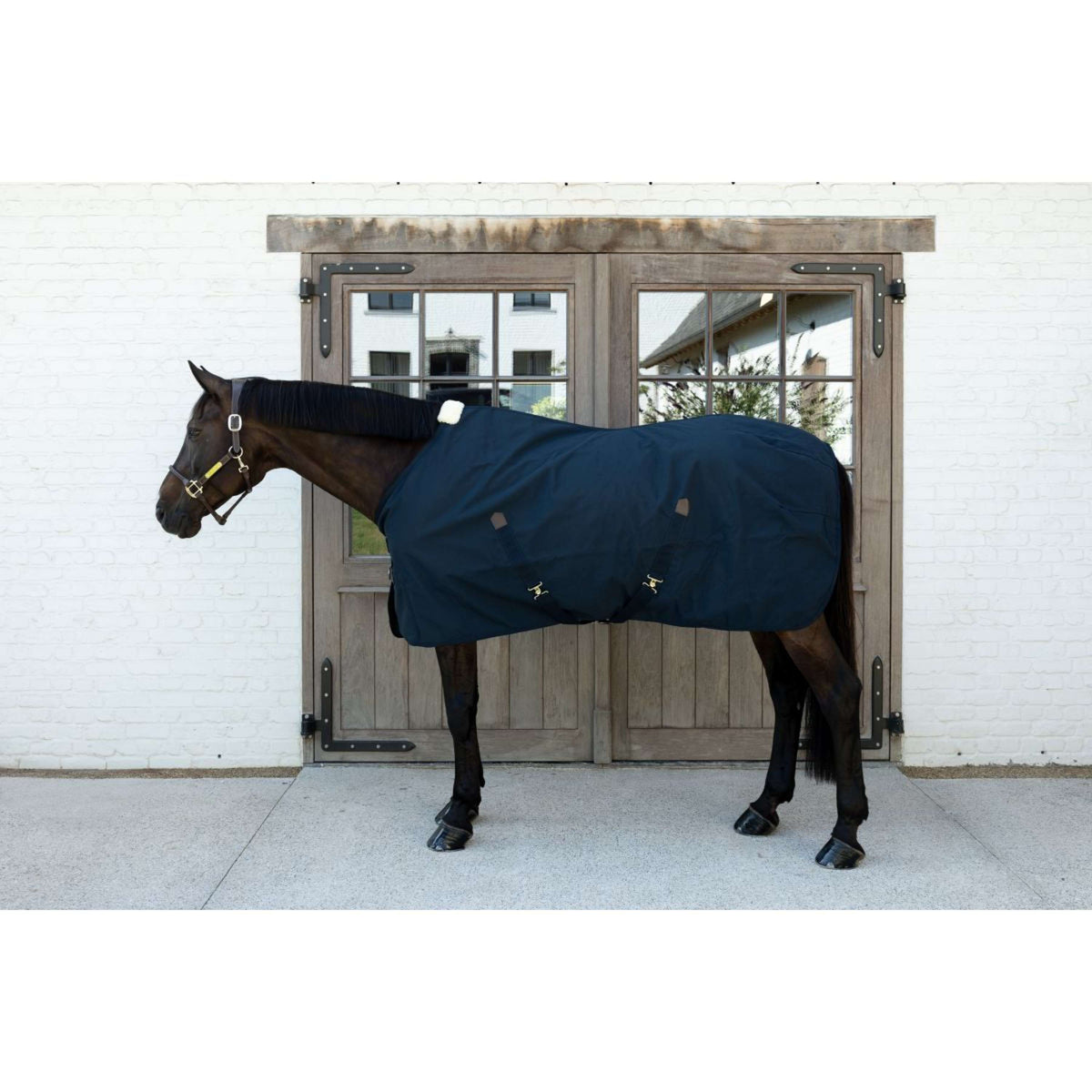 Kentucky Canvas Sheet Marin