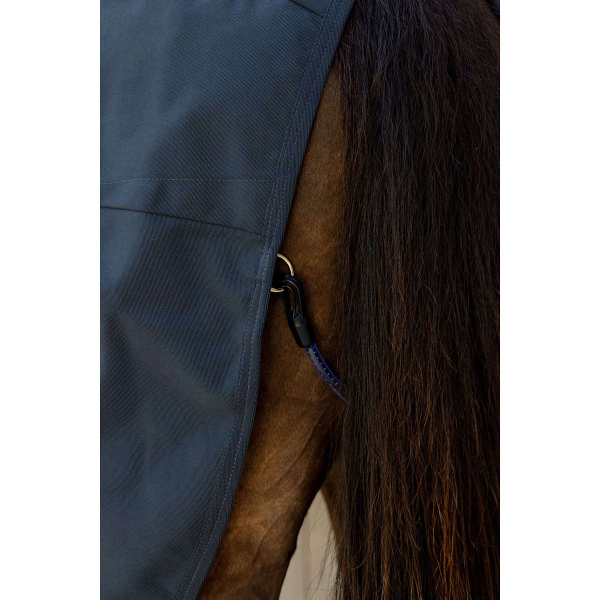 Kentucky Canvas Sheet Marin