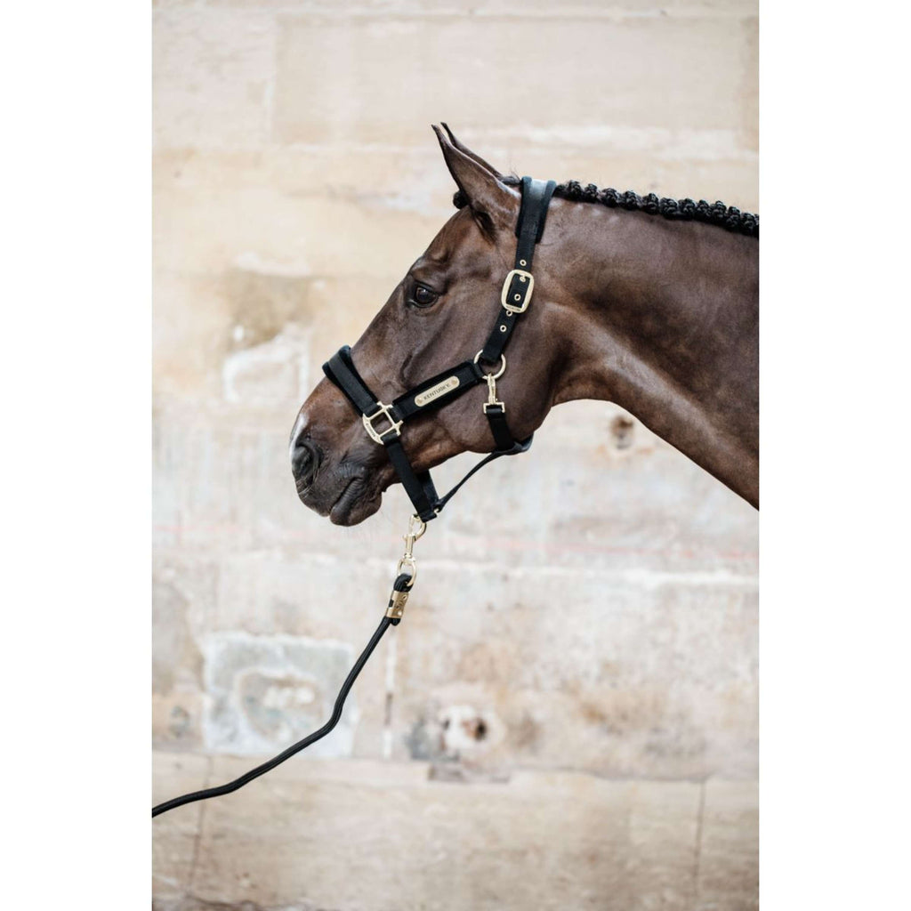 Kentucky Licol velours Noir