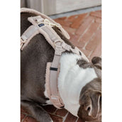 Kentucky Harnais Teddy Fleece Beige