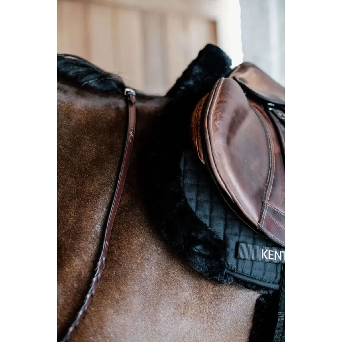 Kentucky Tapis de Selle de Saut Hunter Laine Noir