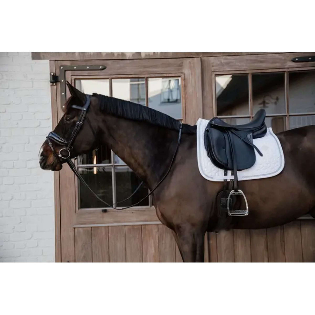 Hansbo Sport Tapis de selle dressage HS Soft Noir Hansbo Sport Tapis de selle dressage HS Soft Noir