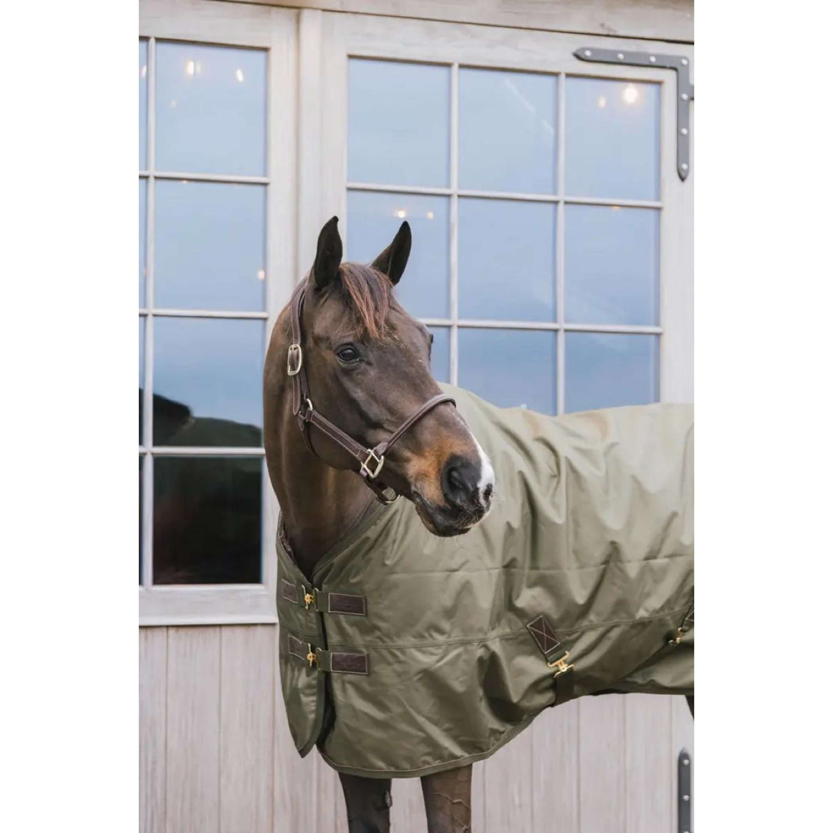 Kentucky Horsewear Chemise Turnout All Weather 160g Kaki