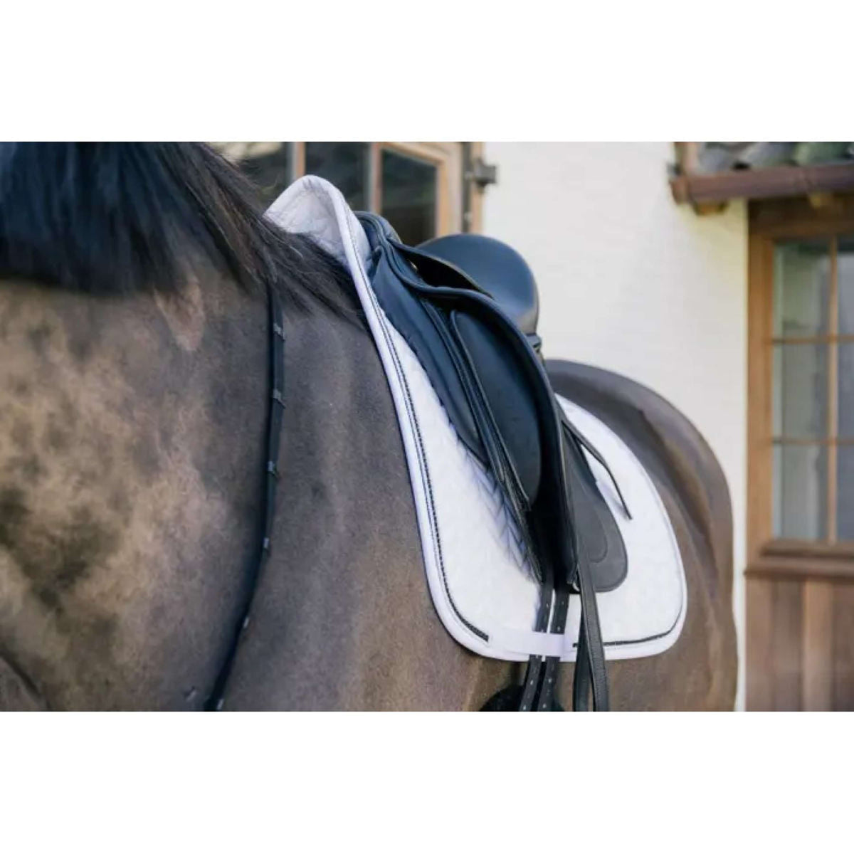 Kentucky Tapis de Selle Metal Chain Dressage Blanc