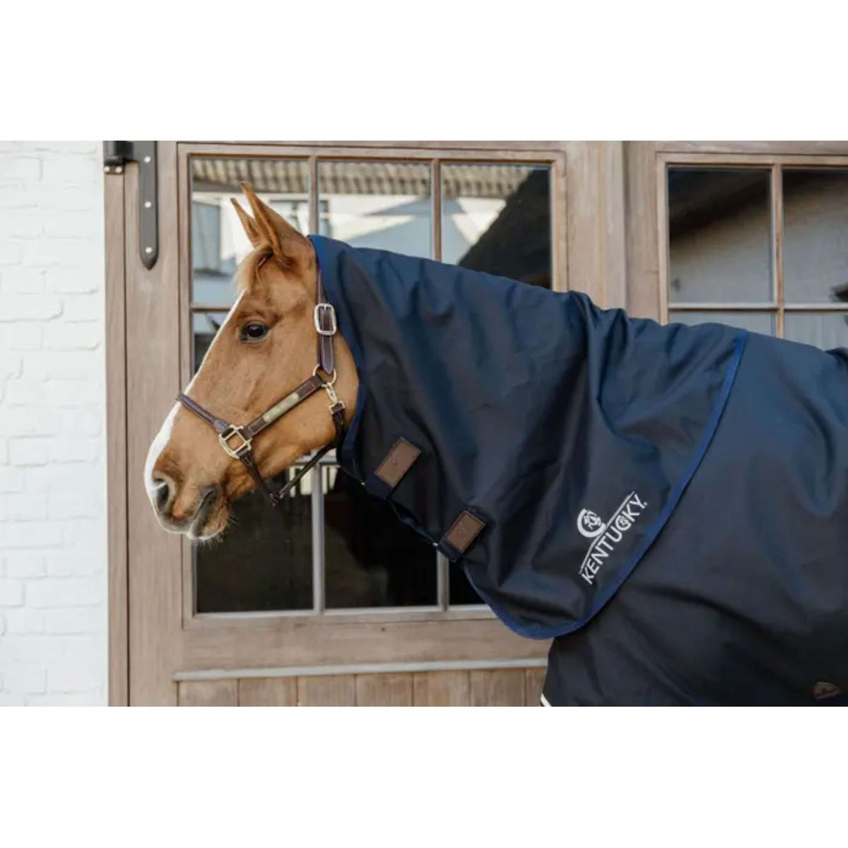 Couverture d'extérieur All Weather imperméable Pro | Kentucky Horsewear Couverture d'extérieur All Weather imperméable Pro | Kentucky Horsewear