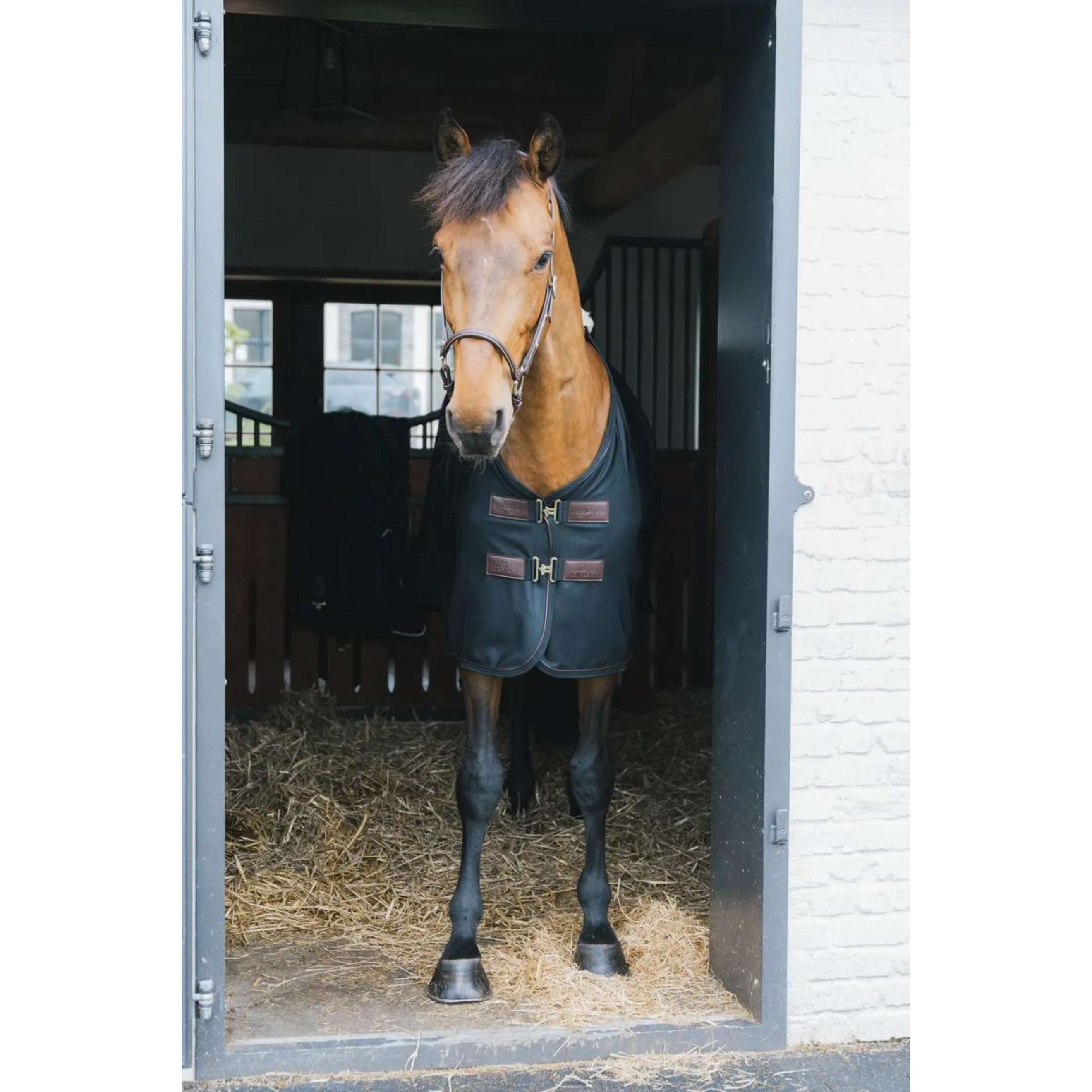 Kentucky Couverture Anti-Mouches Mesh Noir 125/175 Noir Kentucky Couverture Anti-Mouches Mesh Noir 125/175 Noir