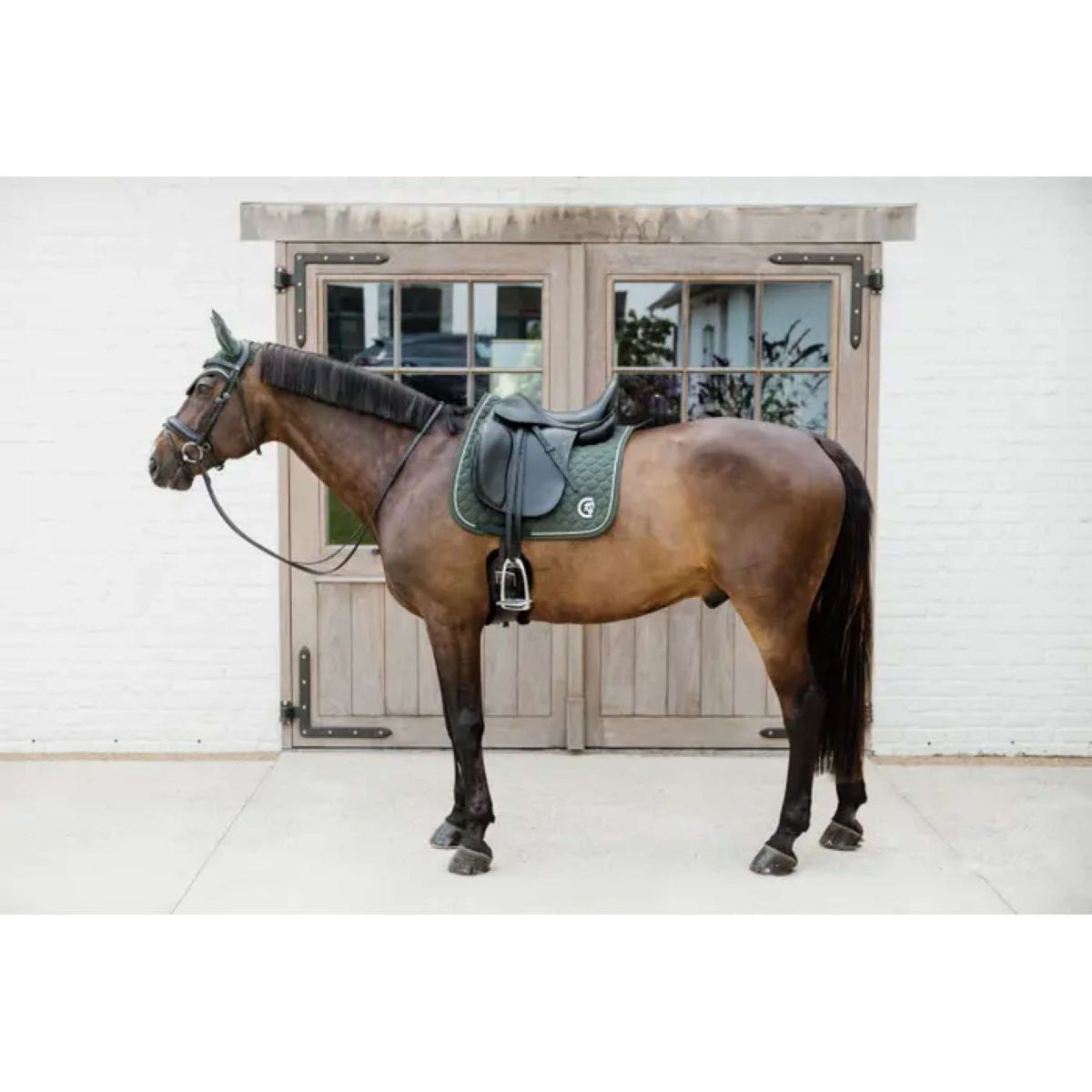 Jeux de tapis de selle ; Tapis de selle tout usage spécial équitation de luxe pour cheval avec bottines de brossage assorties - France Jeux de tapis de selle ; Tapis de selle tout usage spécial équitation de luxe pour cheval avec bottines de brossage assorties - France