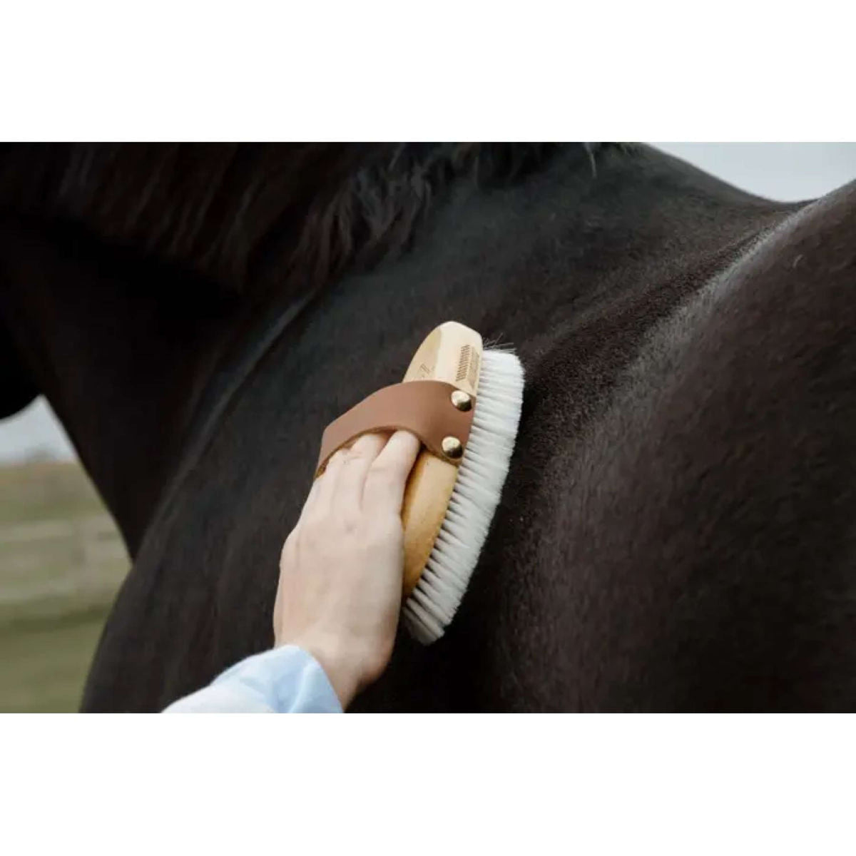 Kentucky Horsewear Brosse Soft