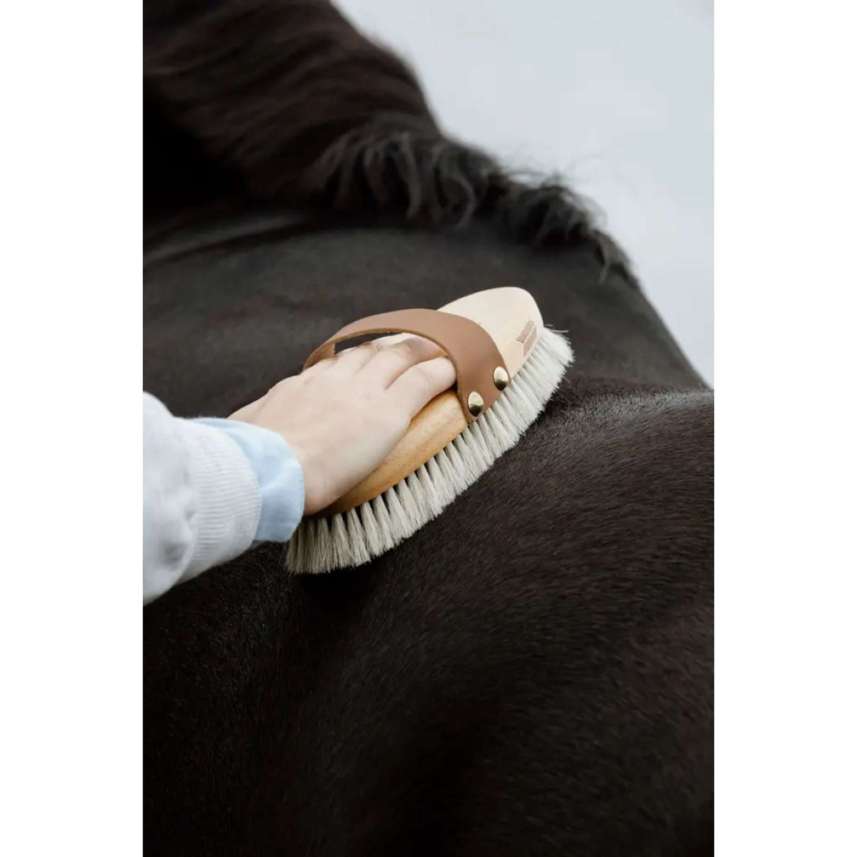 Kentucky Horsewear Brosse Shine