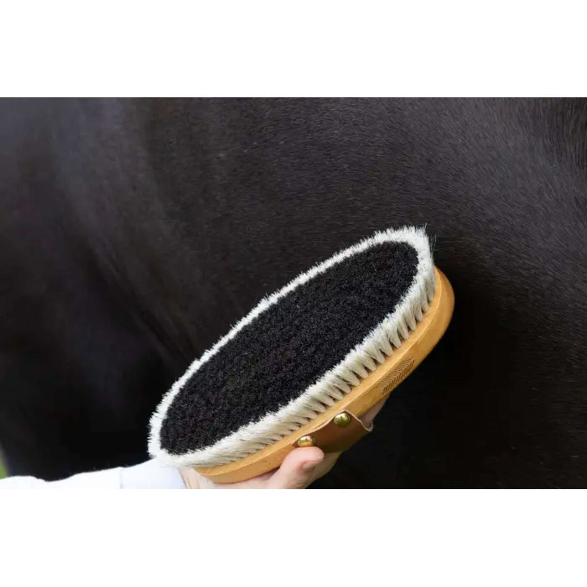 Kentucky Horsewear Brosse Shine