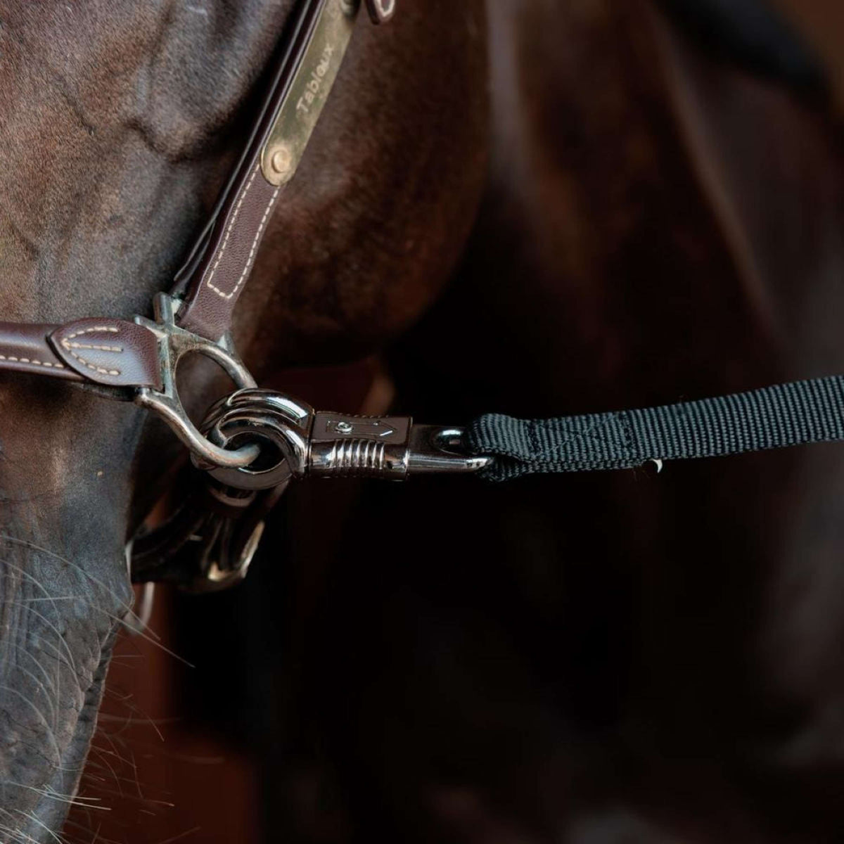 Kentucky Chaîne d'Attache Safety Noir