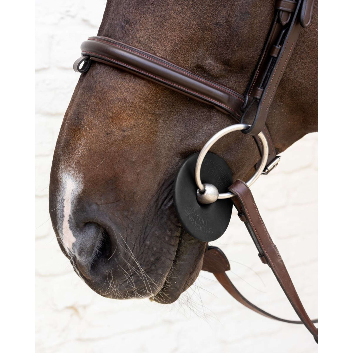Kentucky Anneaux de Mors Bit Ring Noir