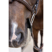 Kentucky Anneaux de Mors Bit Ring Noir