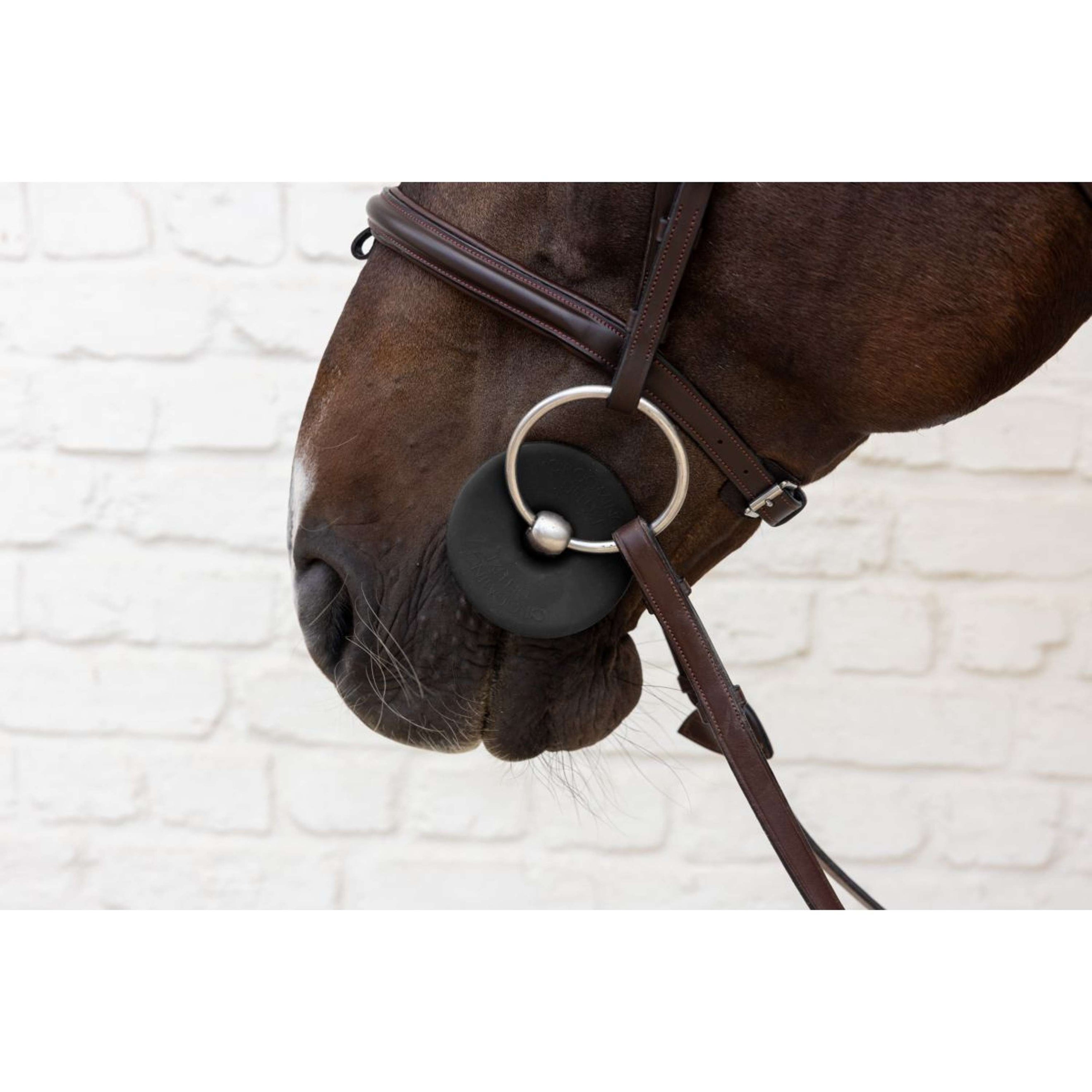 Kentucky Anneaux de Mors Bit Ring Noir