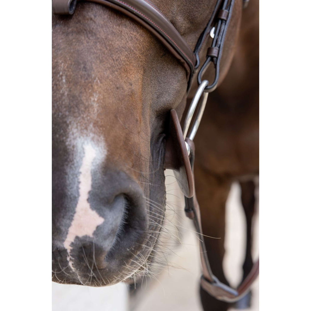 Kentucky Anneaux de Mors Bit Ring Marron