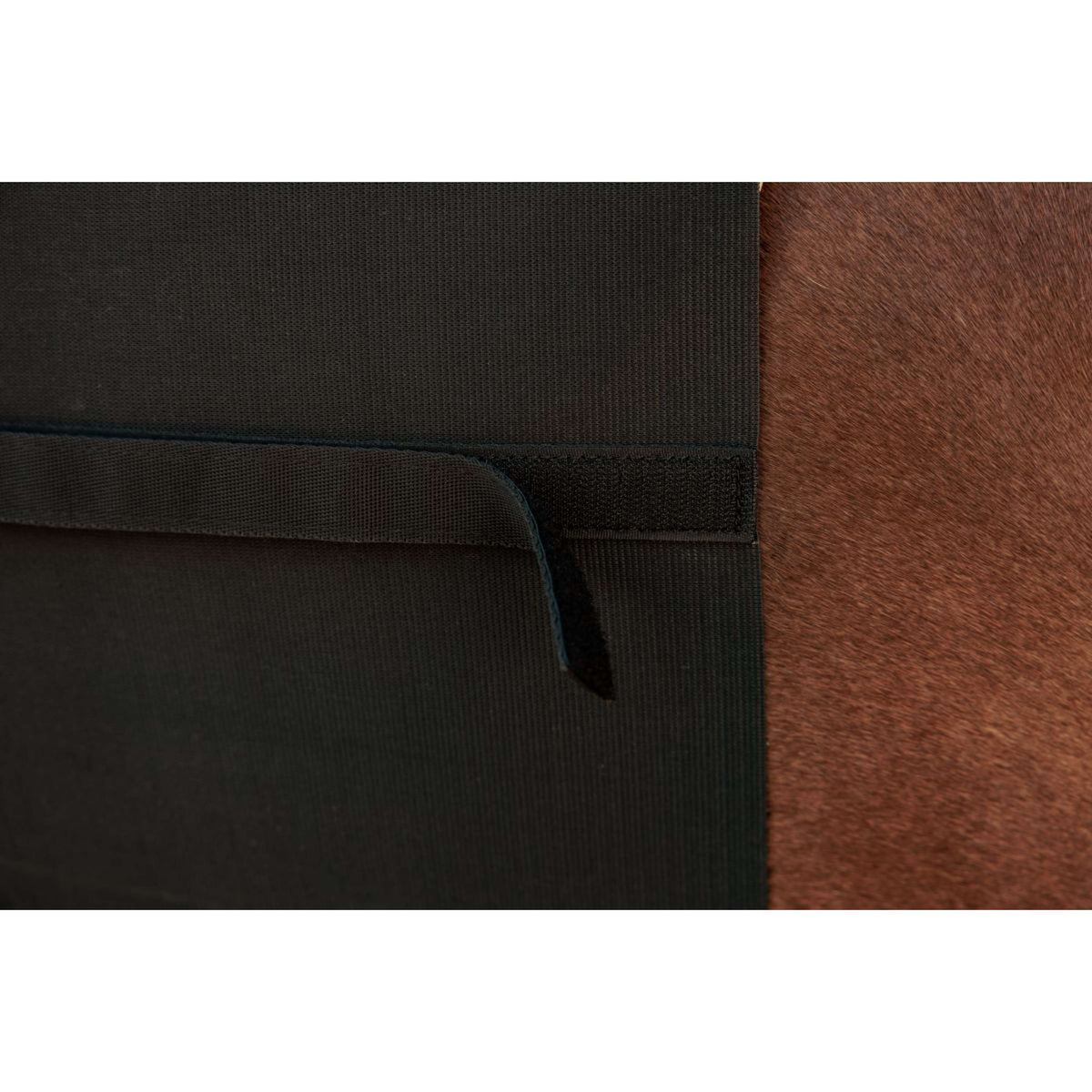 Kentucky Fourreau de Sangle Noir