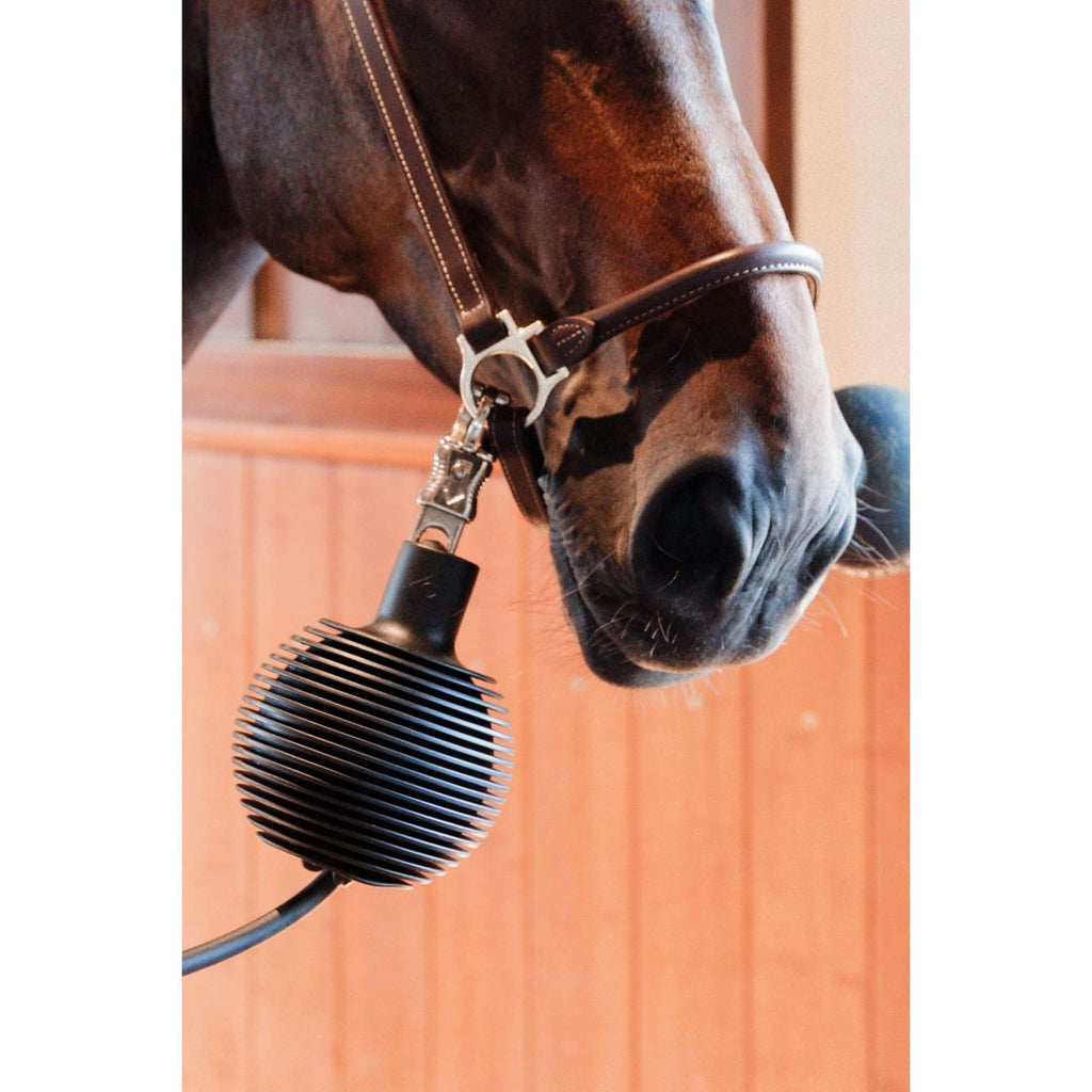 Kentucky Balle de Protection Pro Rubber Noir