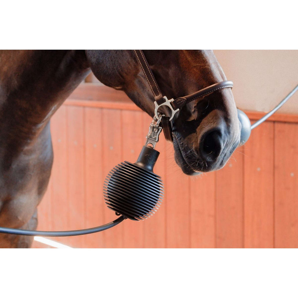 Kentucky Balle de Protection Pro Rubber Noir