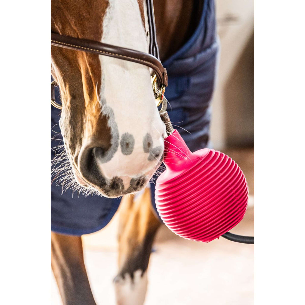 Kentucky Balle de Protection Pro Rubber Rose