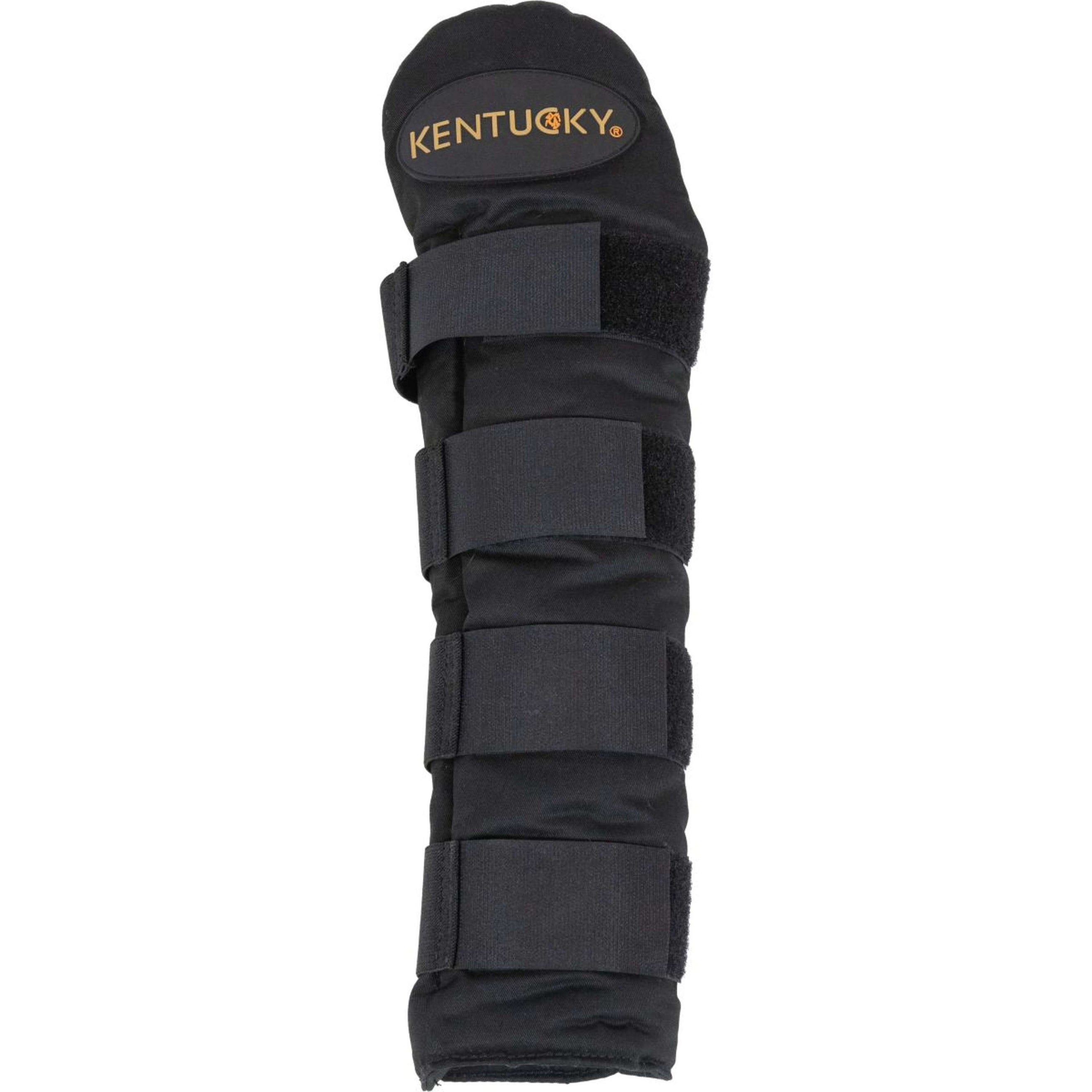 Kentucky Horsewear Protege Queue Pro Kentucky Horsewear Protege Queue Pro