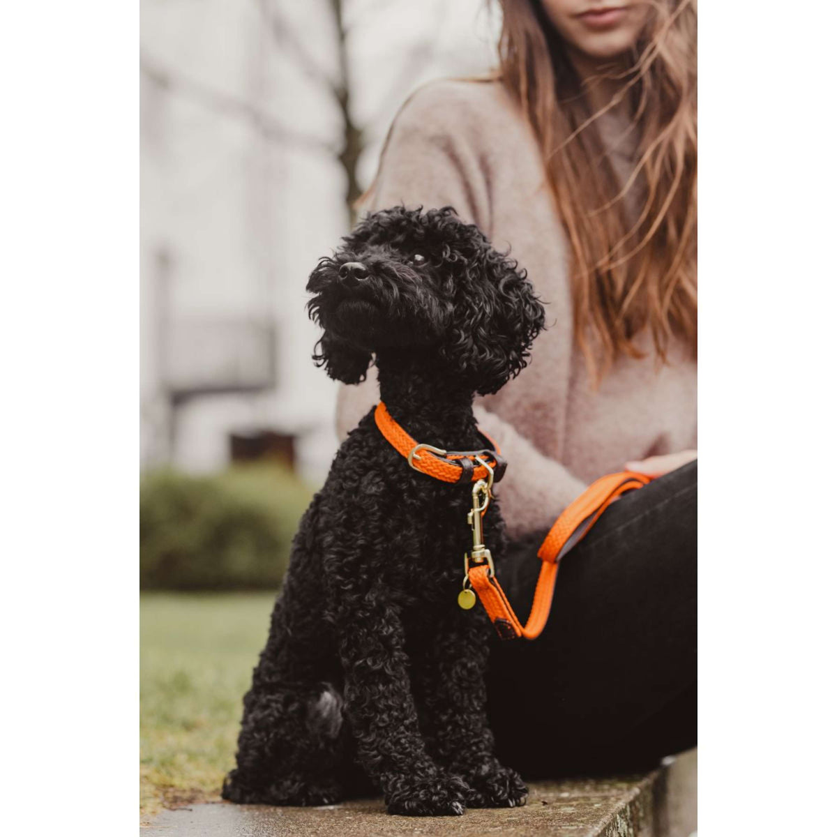 Kentucky Collier Plaited Nylon Orange