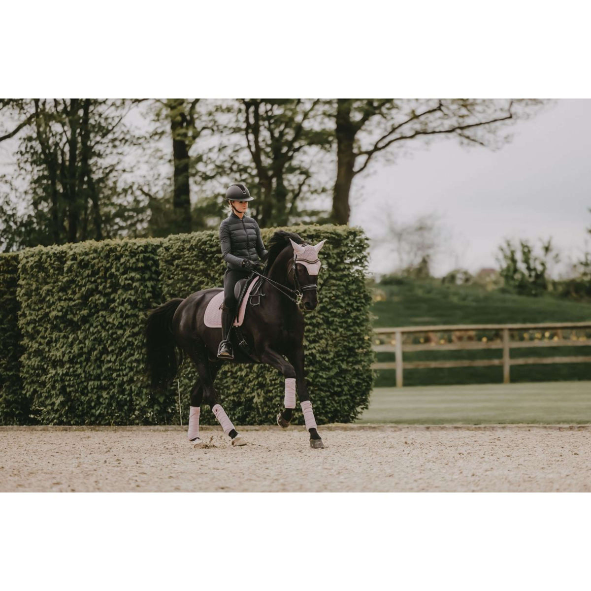 Kentucky Tapis de Selle velours Pearls Dressage Soft Rose