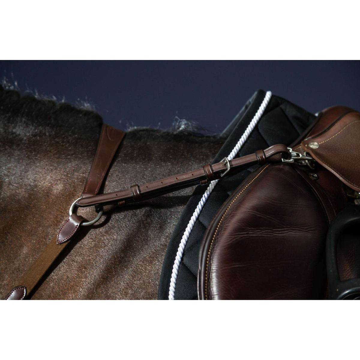 Dyon Collier de Chasse Bridge New English Collection Marron