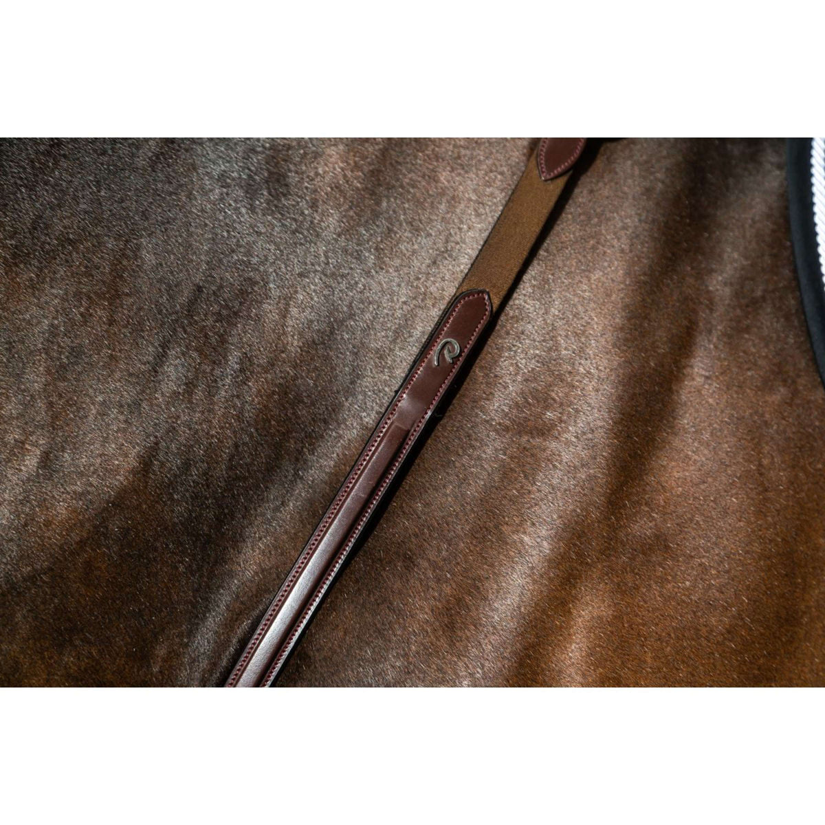 Dyon Collier de Chasse Bridge New English Collection Marron