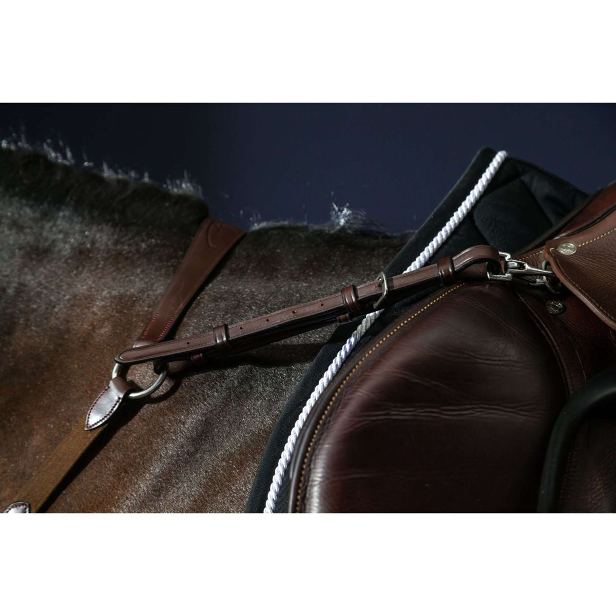 Dyon Collier de Chasse Bridge New English Collection Marron