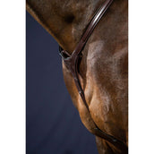 Dyon Collier de Chasse Bridge New English Collection Marron