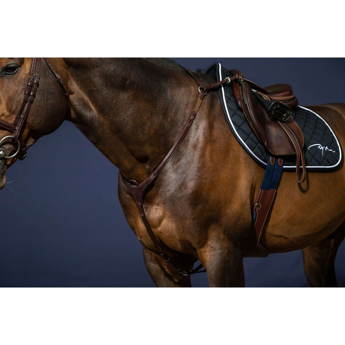 Dyon Collier de Chasse Bridge New English Collection Marron