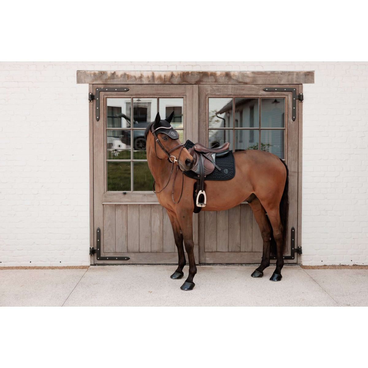 Kentucky Tapis de Selle Sparkling de Saut Noir