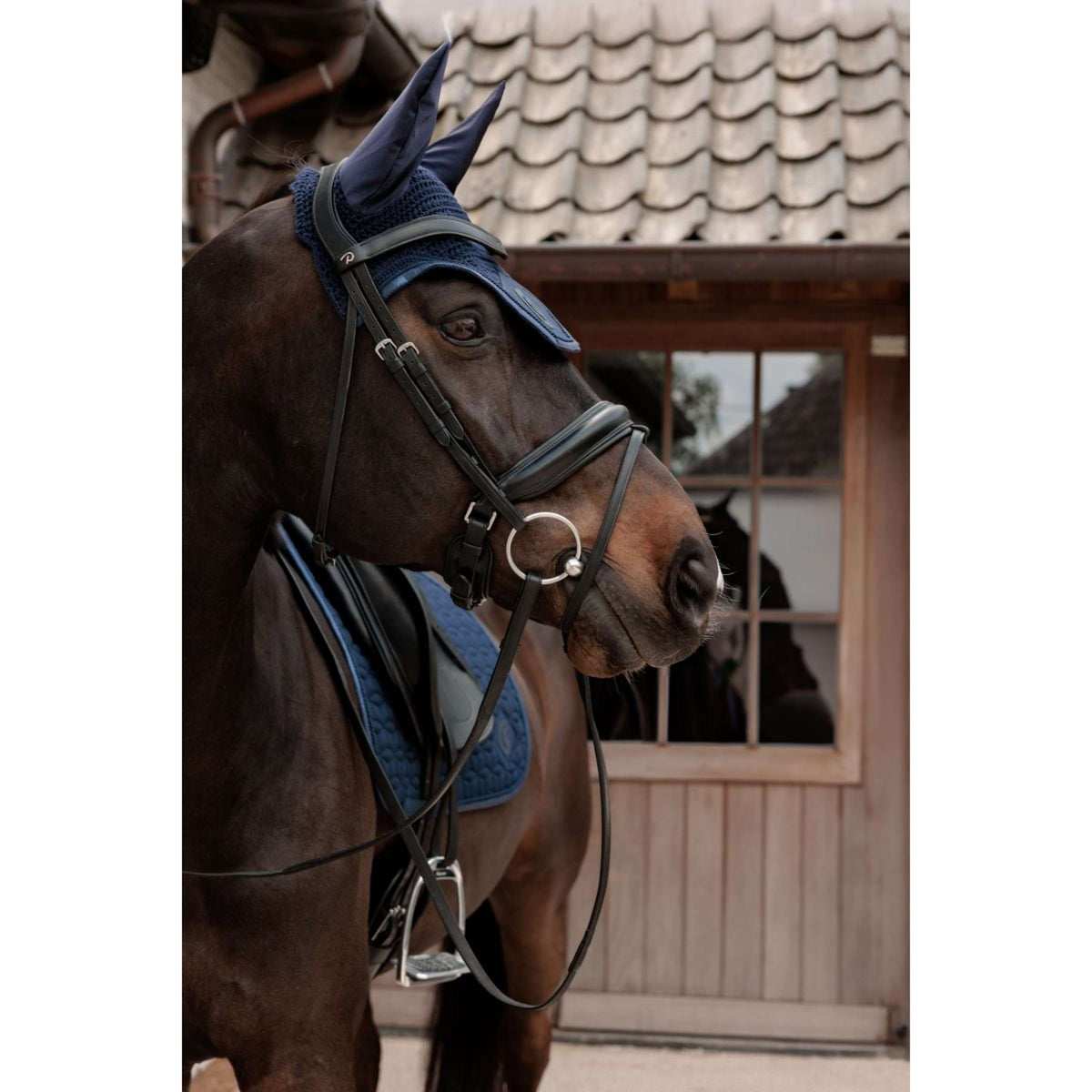 Kentucky Tapis de Selle Sparkling Dressage Marin