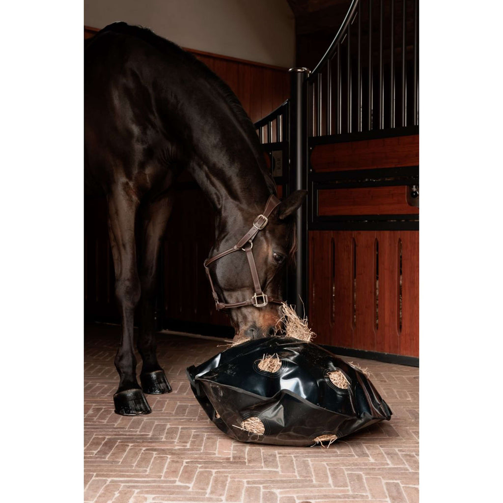 Grooming Deluxe by Kentucky Filet Anti-Glouton Play & Haybag Round