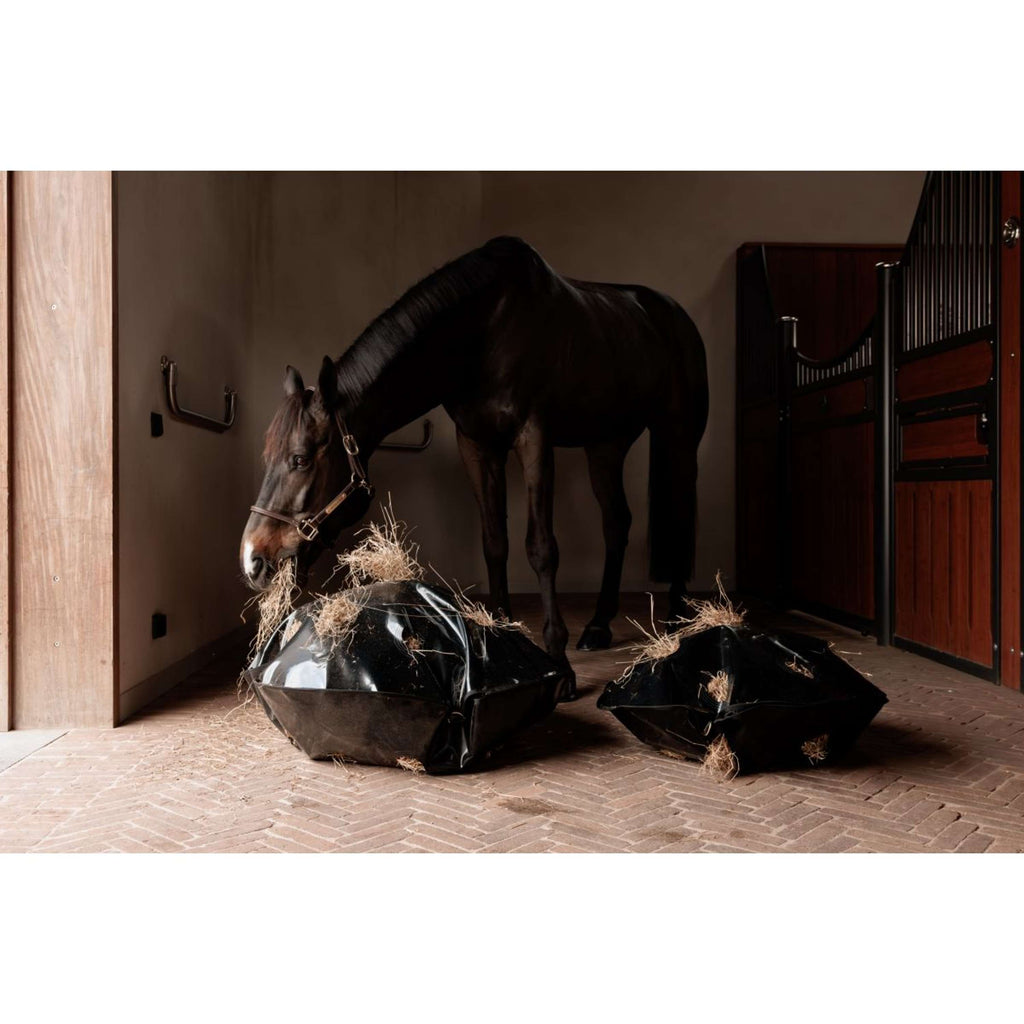 Grooming Deluxe by Kentucky Filet Anti-Glouton Play & Haybag Round