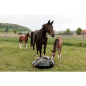 Grooming Deluxe by Kentucky Filet Anti-Glouton Play & Haybag Round