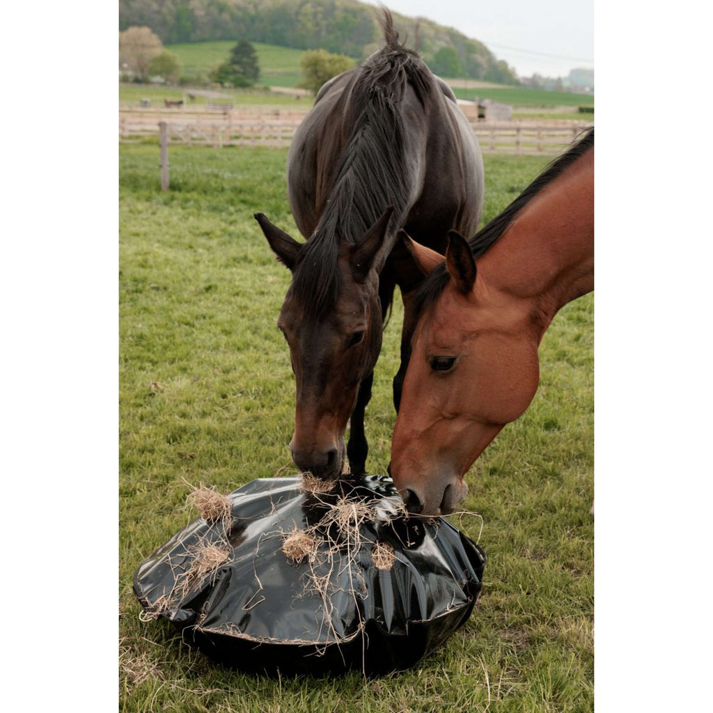 Grooming Deluxe by Kentucky Filet Anti-Glouton Play & Haybag Round