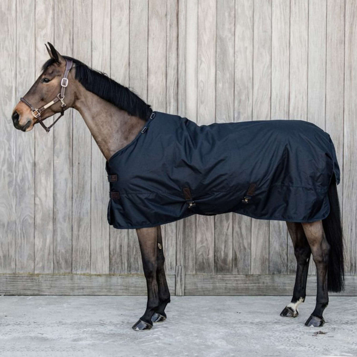 Kentucky Turnout Rug All Weather Waterproof Classic 300g Marin