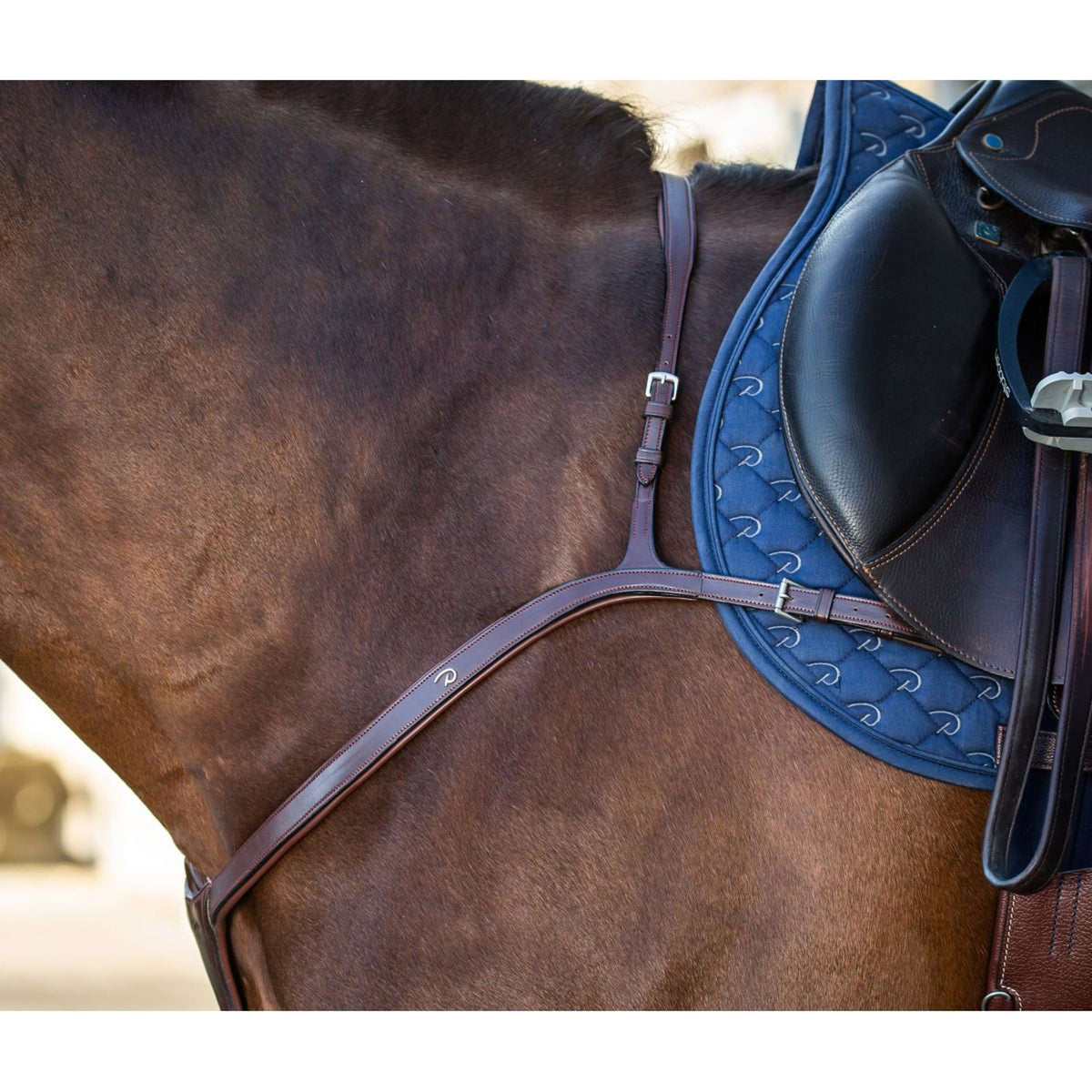 Dyon Collier de Chasse Long Bridge New English Collection Marron