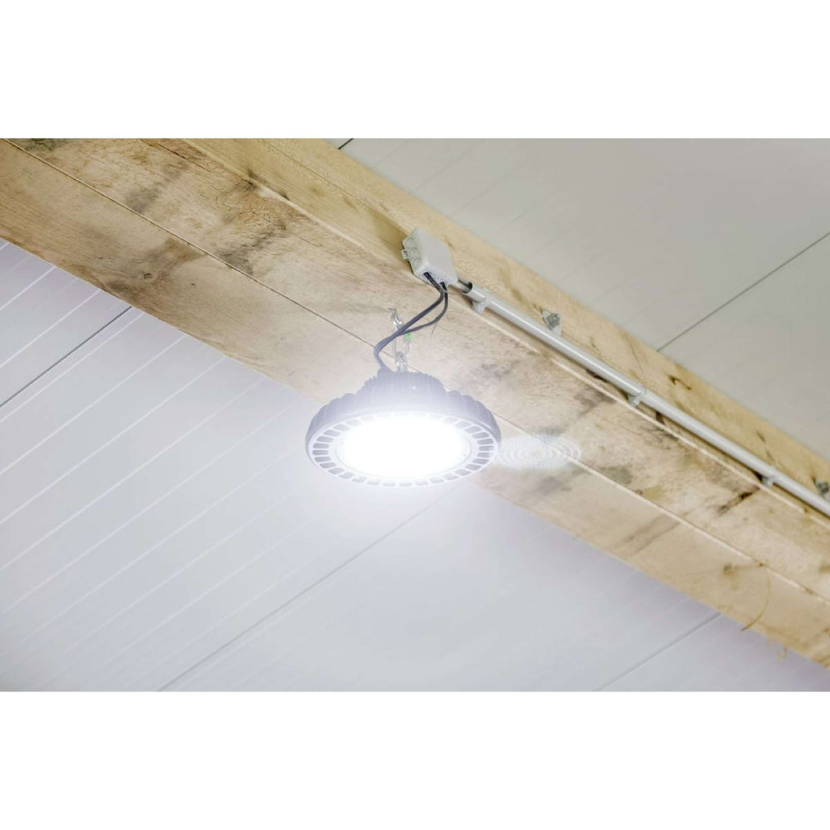 Kerbl LED Eclairage Intérieur Spotlight