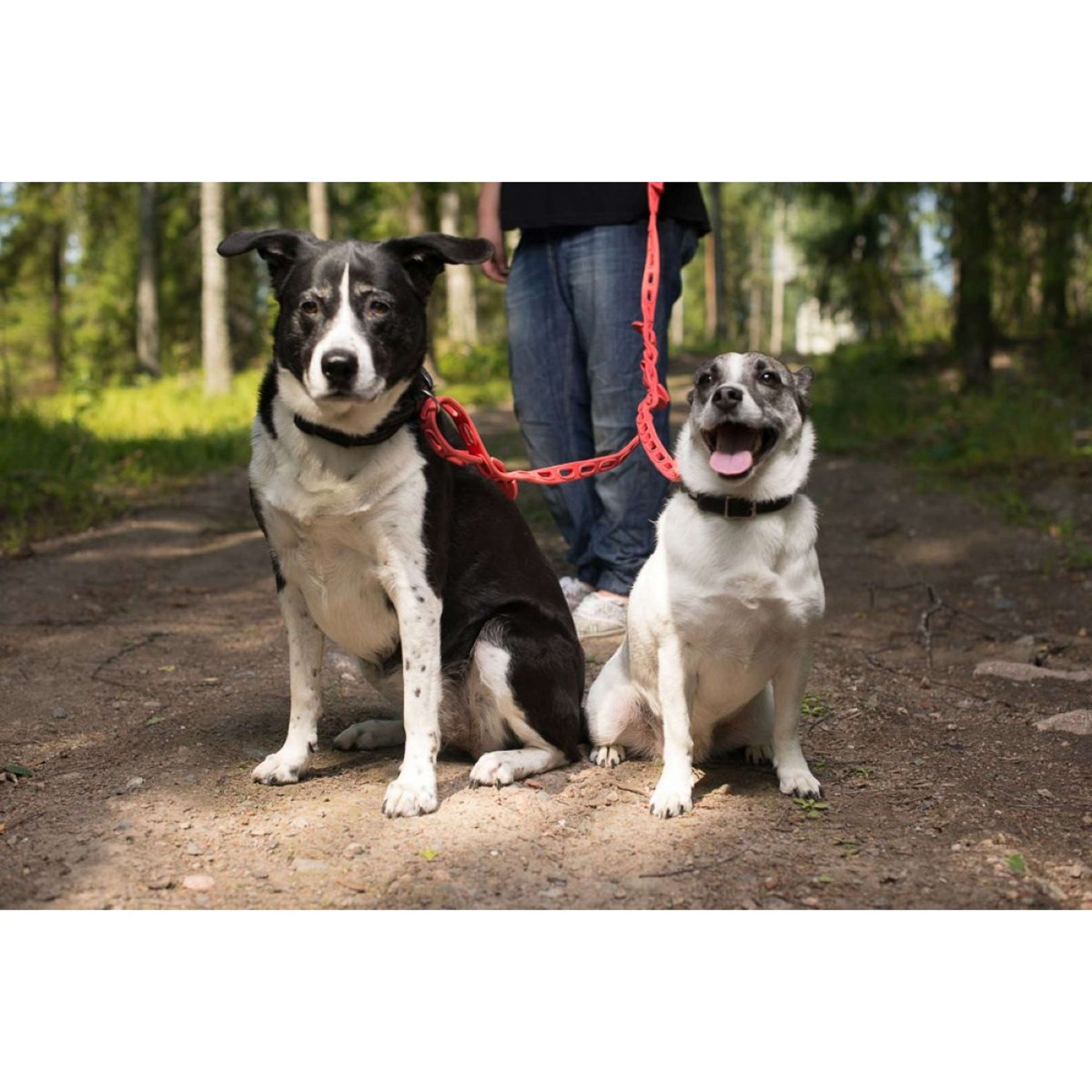 Kerbl Courroie en caoutchouc Strap