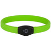 Kerbl Collier Vert