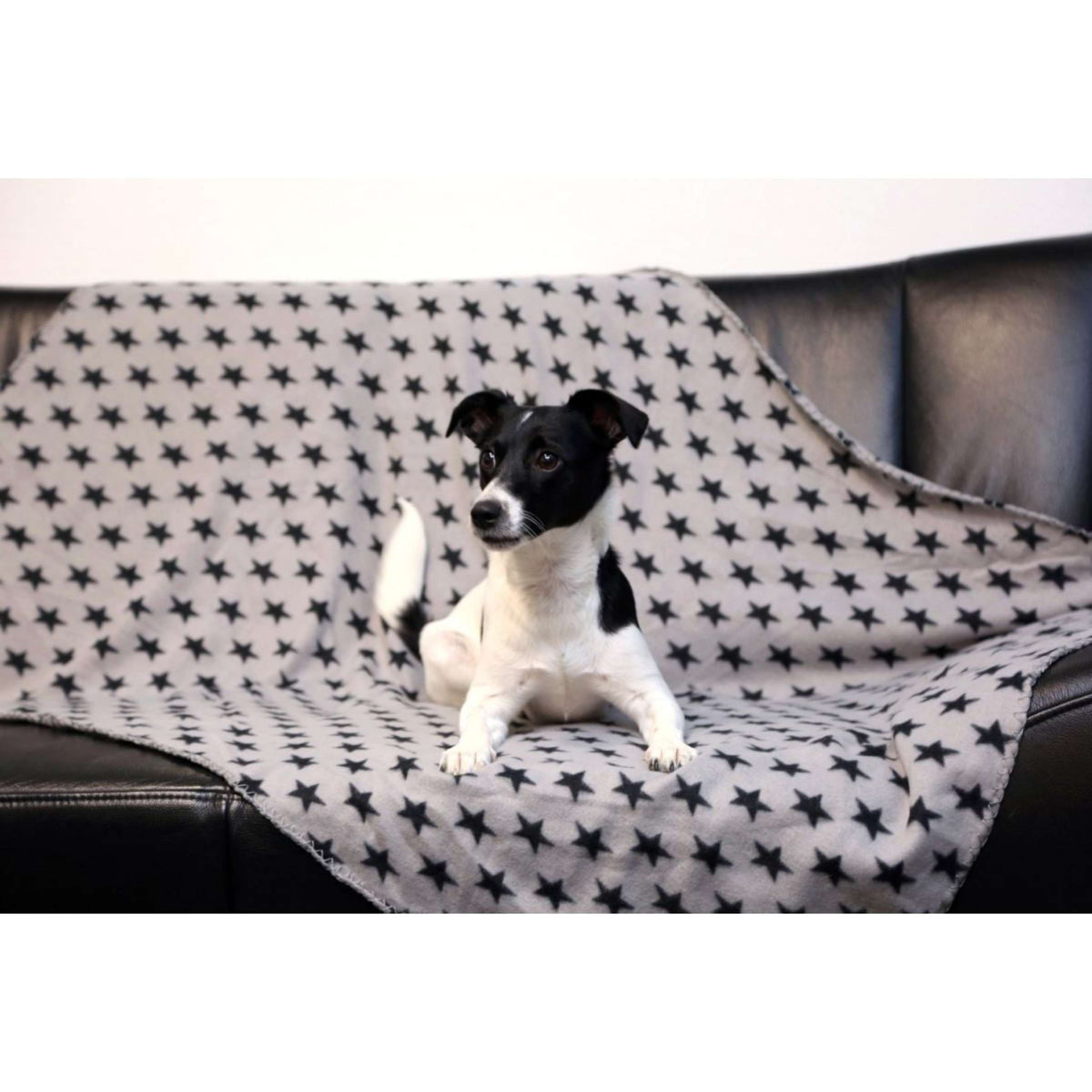 Kerbl Couverture pour Chien Stella Gris