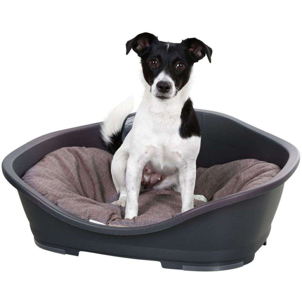 Kerbl Coussin pour Chien Loneta Maaron/Gris