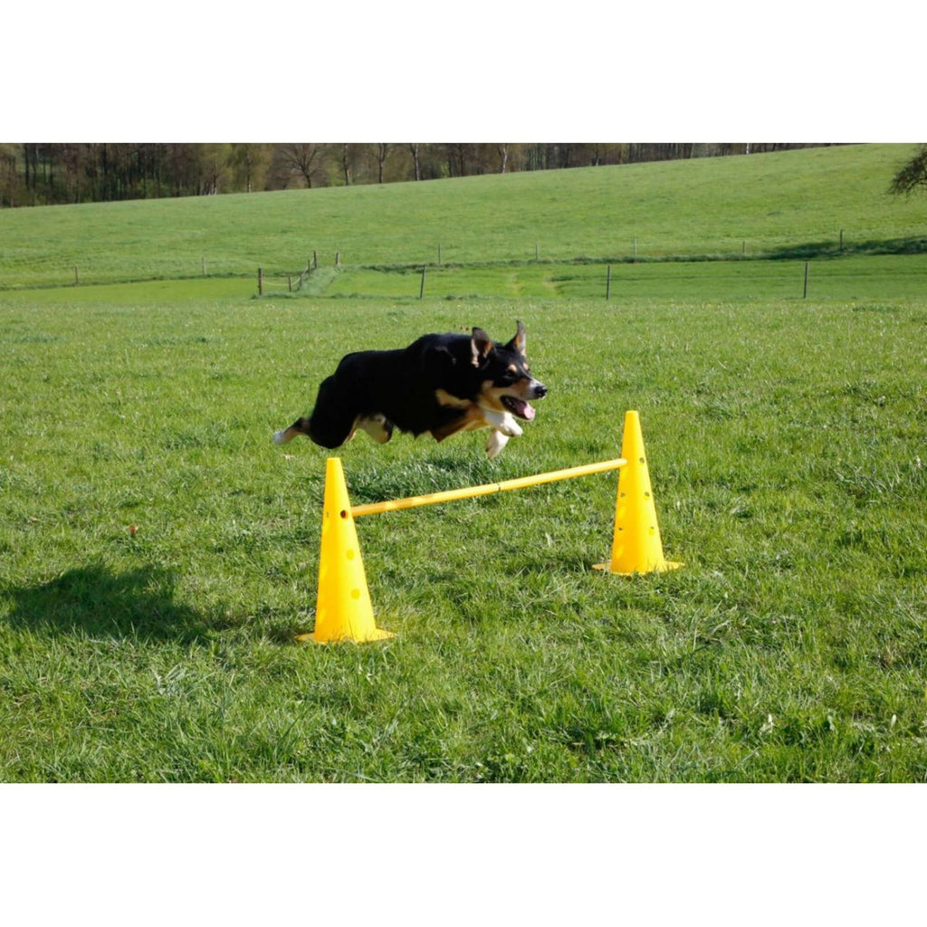 Kerbl Agilité Set Pylône 3 obstacles Rouge/Jaune