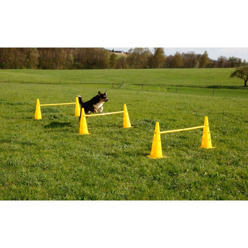 Kerbl Agilité Set Pylône 3 obstacles Rouge/Jaune