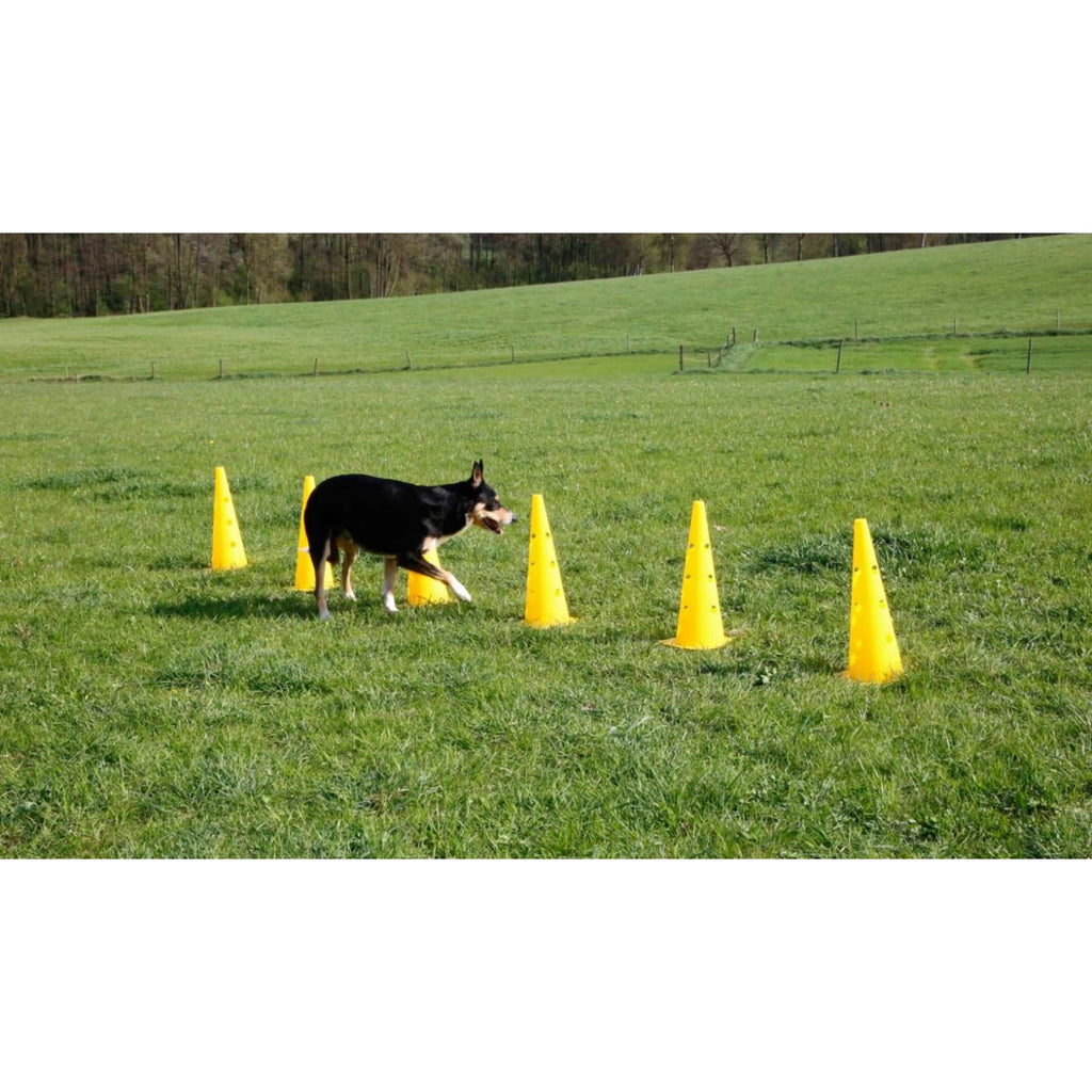Kerbl Agilité Set Pylône 3 obstacles Rouge/Jaune