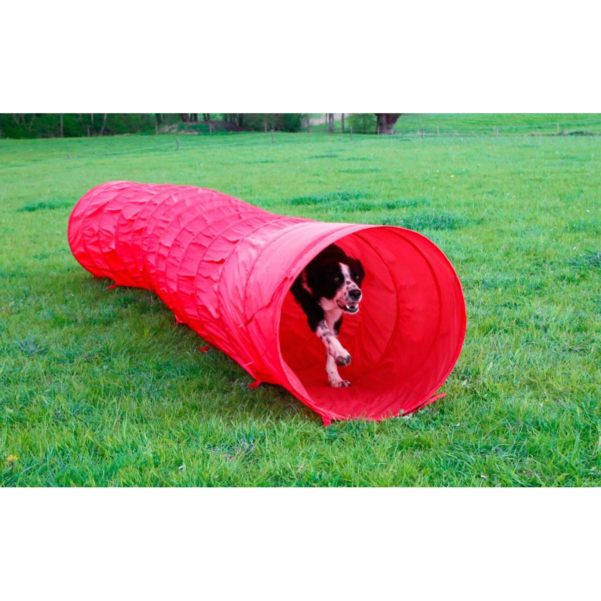 Kerbl Agilité Tunnel Chiens Rouge