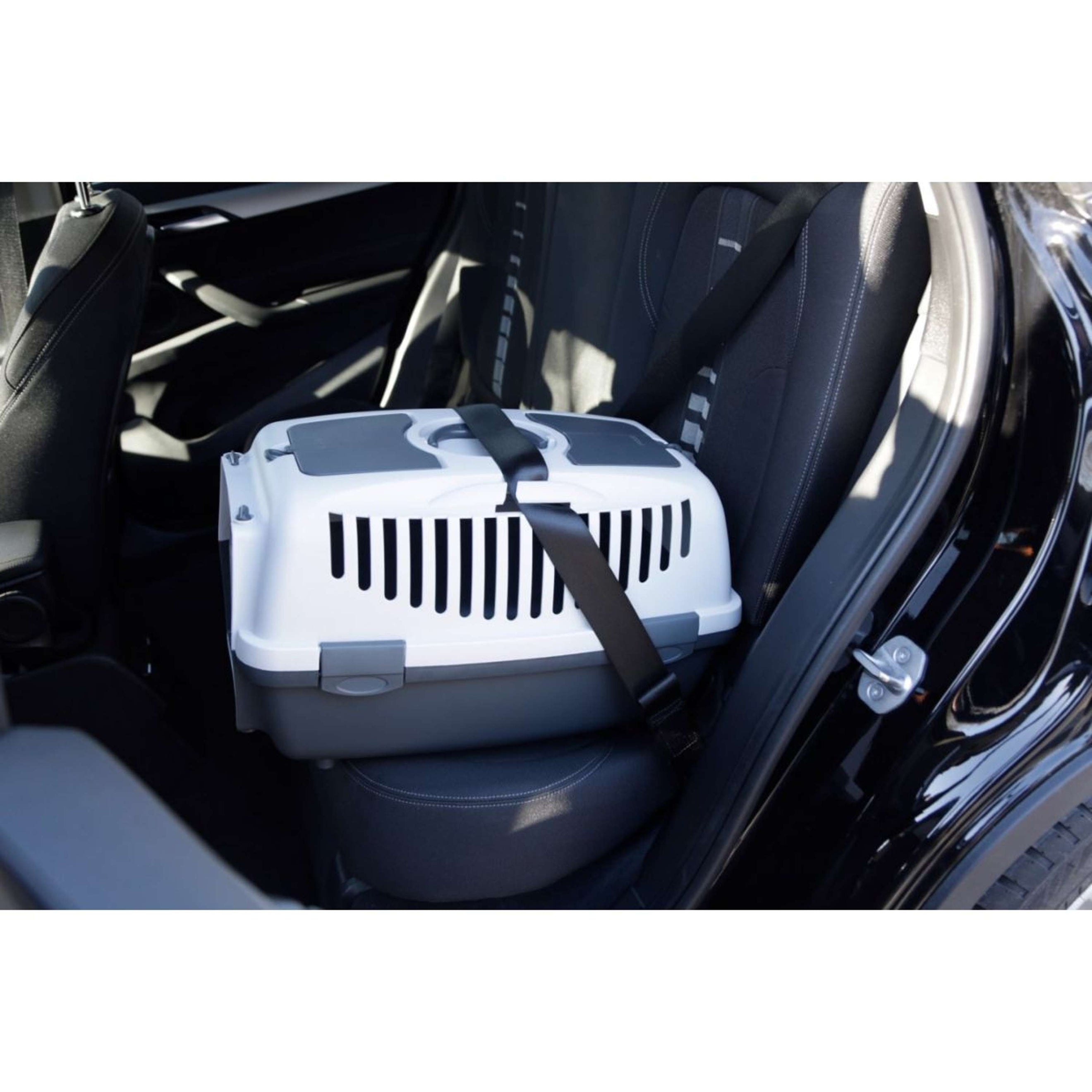 Kerbl Cage de Transport Gulliver Gris/Blanc