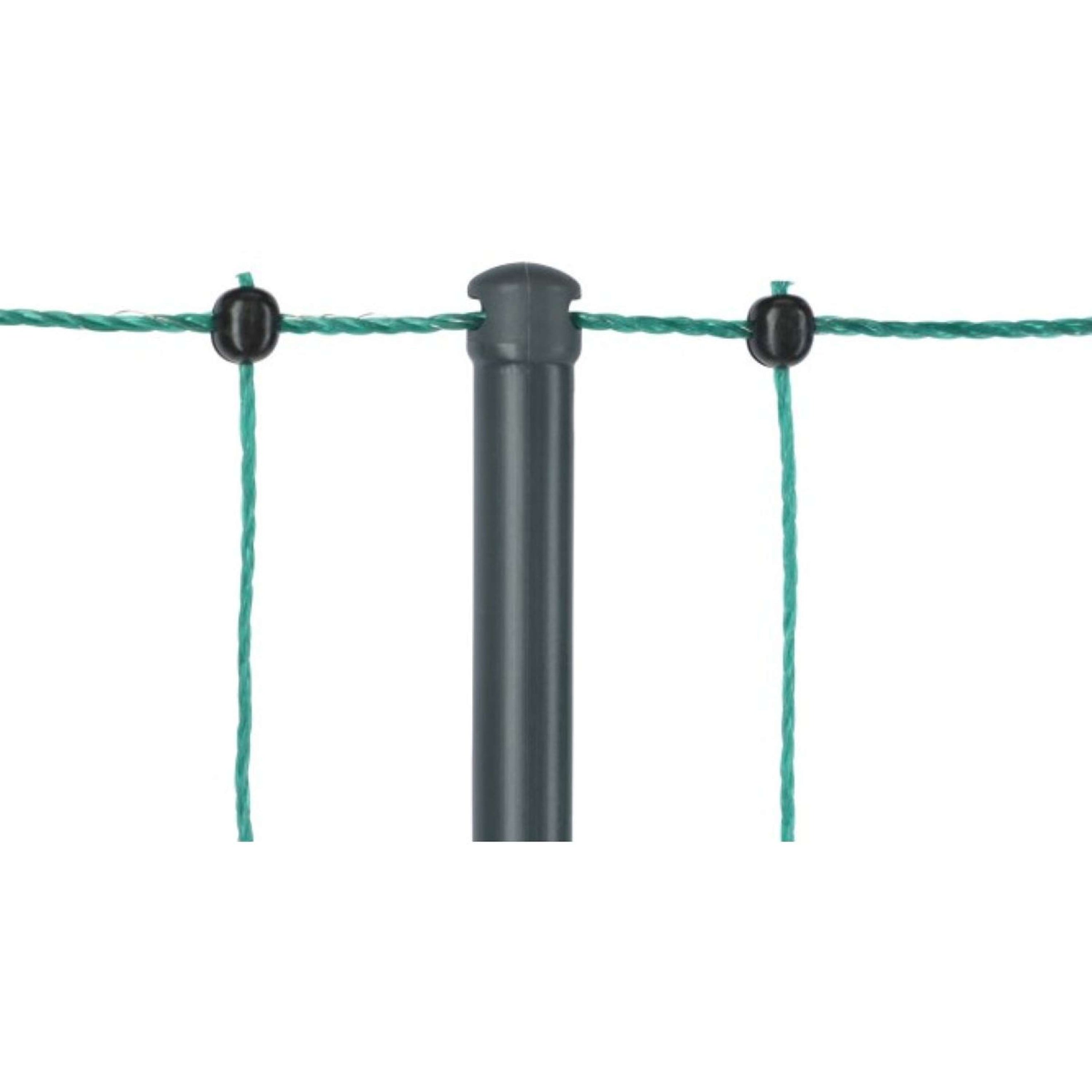 Ako Filet Avicole Premium not Electrifiable Double Goupille Vert Ako Filet Avicole Premium not Electrifiable Double Goupille Vert